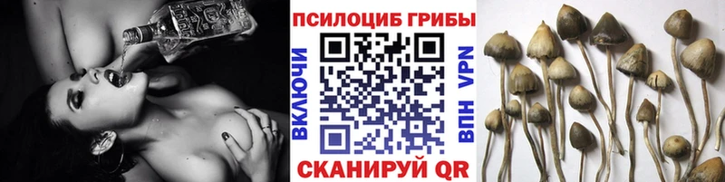 Галлюциногенные грибы Psilocybe  Купить  Радужный 